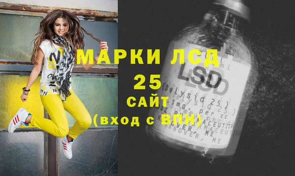индика Курчалой
