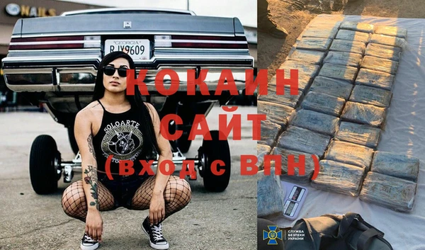 шишки Пролетарск