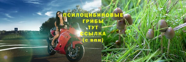 2c-b Протвино