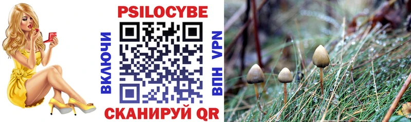 Псилоцибиновые грибы MAGIC MUSHROOMS  наркота  Талица 