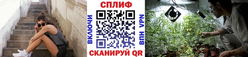 даркнет сайт  Талица  Бошки Шишки планчик 